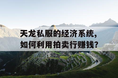 天龙私服的经济系统,如何利用拍卖行赚钱？