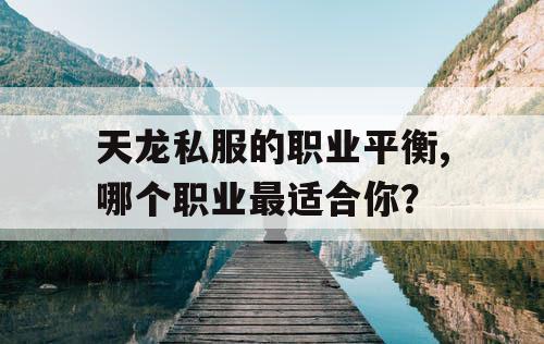 天龙私服的职业平衡,哪个职业最适合你？