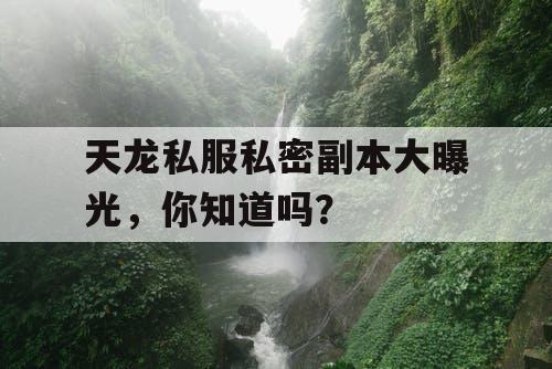 天龙私服私密副本大曝光，你知道吗？