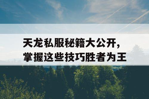 天龙私服秘籍大公开,掌握这些技巧胜者为王