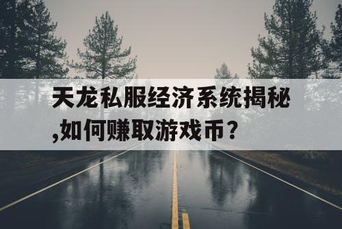 天龙私服经济系统揭秘,如何赚取游戏币？