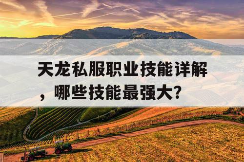 天龙私服职业技能详解，哪些技能最强大？