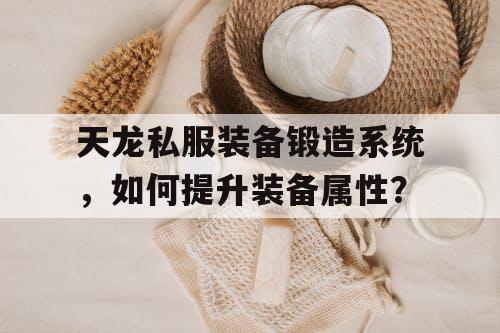 天龙私服装备锻造系统，如何提升装备属性？