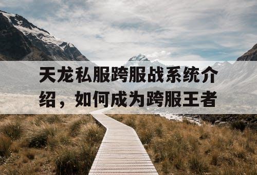 天龙私服跨服战系统介绍，如何成为跨服王者