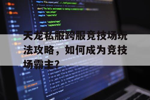 天龙私服跨服竞技场玩法攻略，如何成为竞技场霸主？