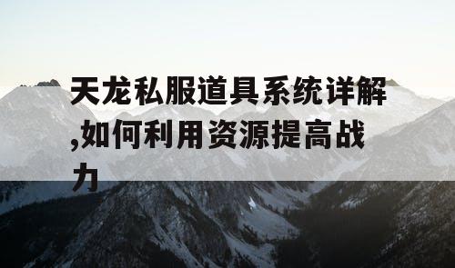 天龙私服道具系统详解,如何利用资源提高战力
