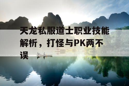 天龙私服道士职业技能解析，打怪与PK两不误