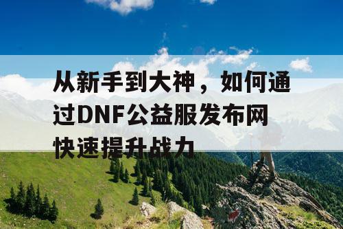 从新手到大神，如何通过DNF公益服发布网快速提升战力