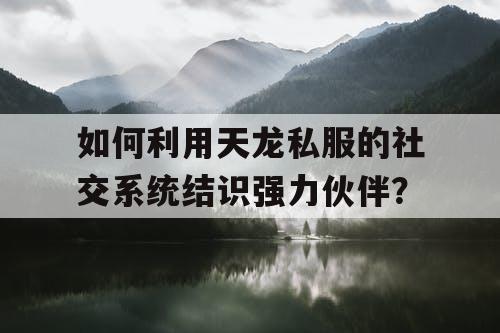 如何利用天龙私服的社交系统结识强力伙伴？