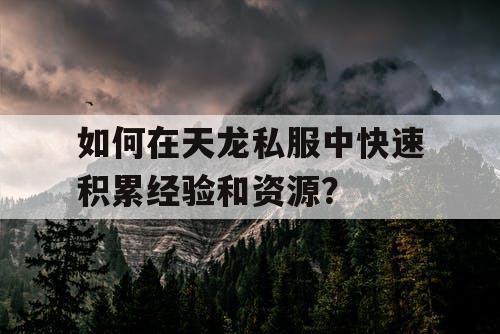 如何在天龙私服中快速积累经验和资源？