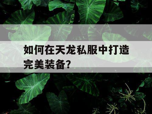 如何在天龙私服中打造完美装备？