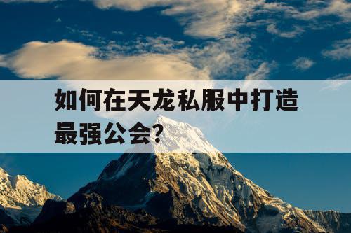 如何在天龙私服中打造最强公会？