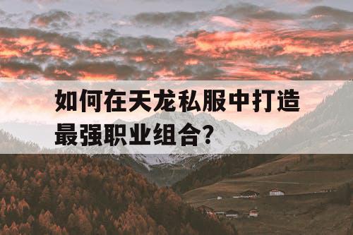如何在天龙私服中打造最强职业组合？