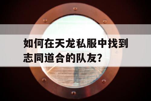 如何在天龙私服中找到志同道合的队友？
