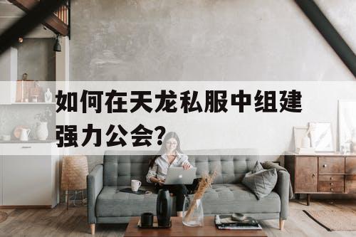 如何在天龙私服中组建强力公会？