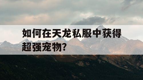 如何在天龙私服中获得超强宠物？