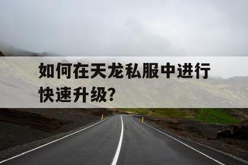 如何在天龙私服中进行快速升级？