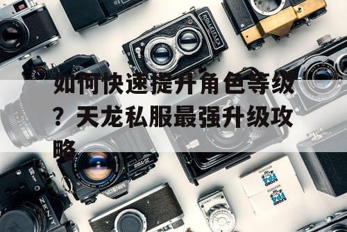 如何快速提升角色等级？天龙私服最强升级攻略