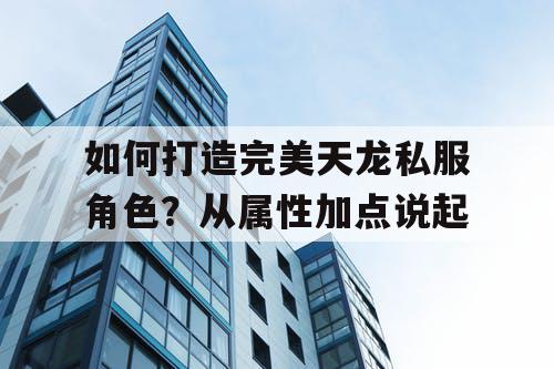 如何打造完美天龙私服角色？从属性加点说起