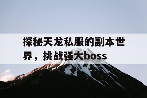 探秘天龙私服的副本世界，挑战强大boss