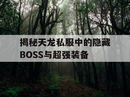 揭秘天龙私服中的隐藏BOSS与超强装备
