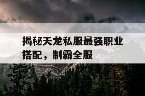 揭秘天龙私服最强职业搭配，制霸全服