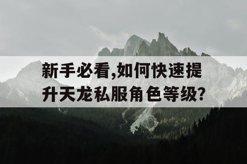新手必看,如何快速提升天龙私服角色等级？