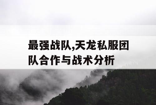 最强战队,天龙私服团队合作与战术分析