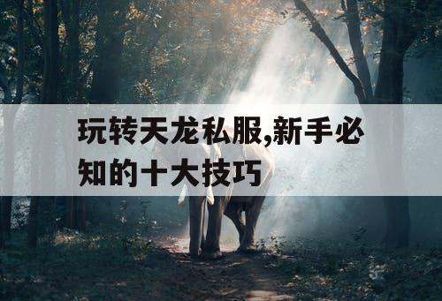 玩转天龙私服,新手必知的十大技巧