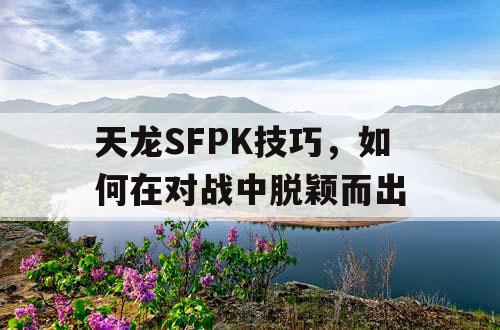 天龙SFPK技巧，如何在对战中脱颖而出