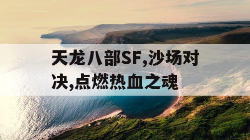 天龙八部SF,沙场对决,点燃热血之魂