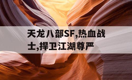 天龙八部SF,热血战士,捍卫江湖尊严
