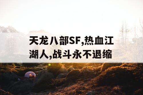 天龙八部SF,热血江湖人,战斗永不退缩