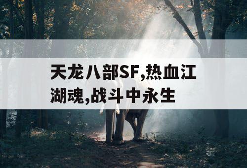 天龙八部SF,热血江湖魂,战斗中永生