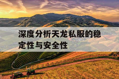深度分析天龙私服的稳定性与安全性 深度分析天龙私服的稳定性与安全性