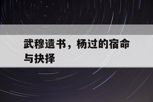 武穆遗书,杨过的宿命与抉择 武穆遗书,杨过的宿命与抉择