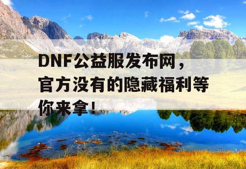 DNF公益服发布网，官方没有的隐藏福利等你来拿！