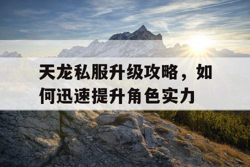 天龙私服升级攻略，如何迅速提升角色实力