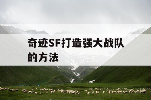 奇迹SF打造强大战队的方法
