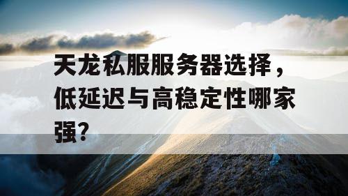 天龙私服服务器选择，低延迟与高稳定性哪家强？