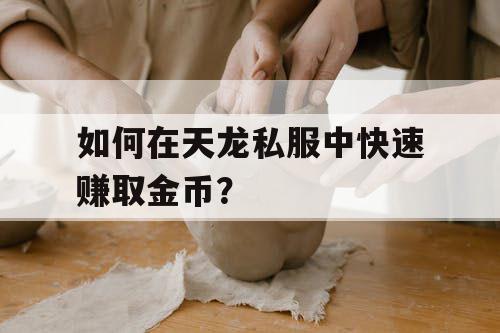 如何在天龙私服中快速赚取金币？