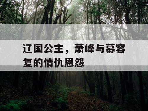 辽国公主，萧峰与慕容复的情仇恩怨