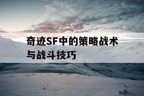 奇迹SF中的策略战术与战斗技巧