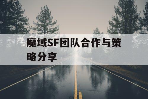 魔域SF团队合作与策略分享