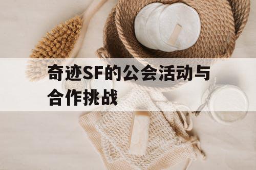 奇迹SF的公会活动与合作挑战