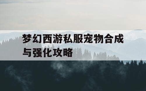 梦幻西游私服宠物合成与强化攻略