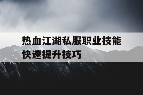 热血江湖私服职业技能快速提升技巧