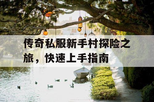 传奇私服新手村探险之旅，快速上手指南