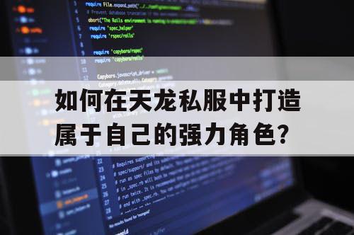 如何在天龙私服中打造属于自己的强力角色？