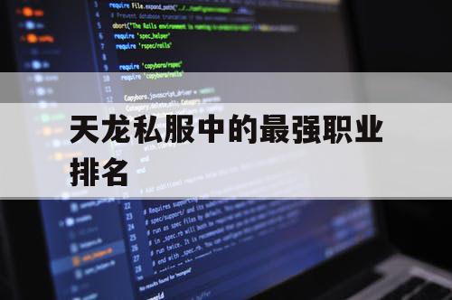天龙私服中的最强职业排名